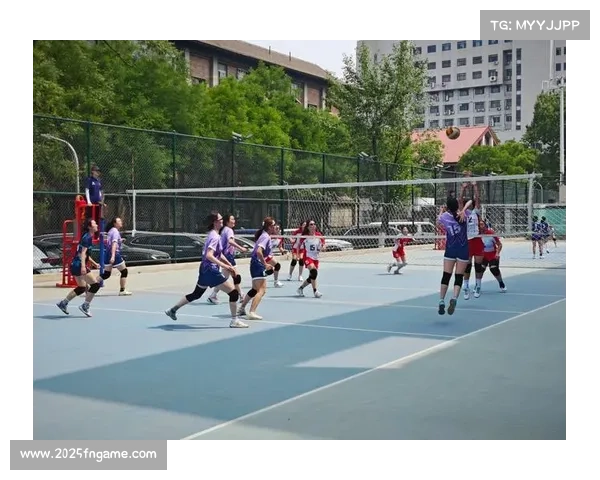 辽宁男排女排双主场落户丹东 凤城东港携手打造排球强市新名片